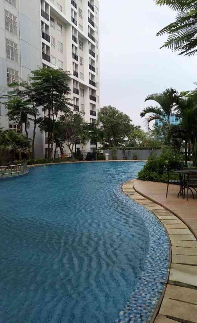 Sewa Apartemen Scientia Residences