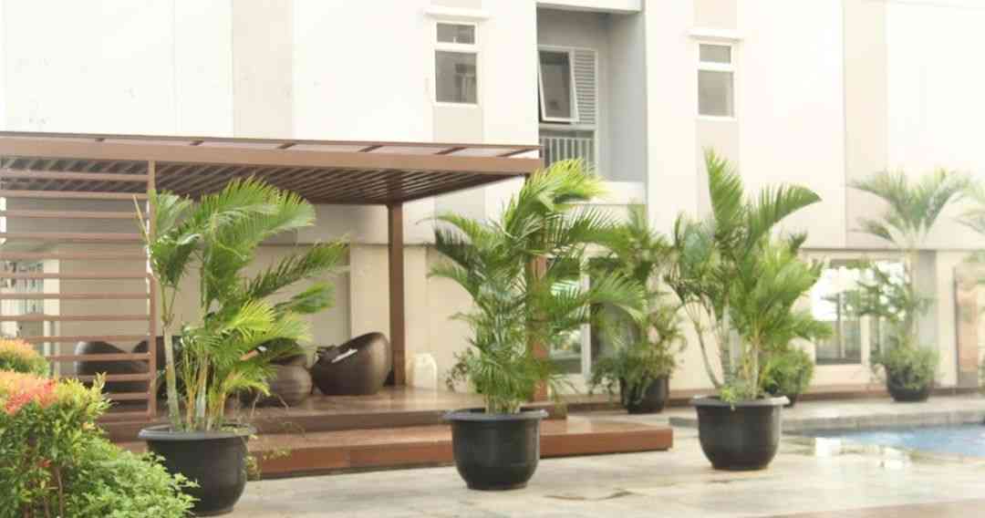 Kolam renang Oak Tower Apartemen