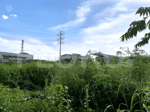 Disewakan Tanah Luas 10000 m2 di Kawasan Industri, Pulo Gadung 2