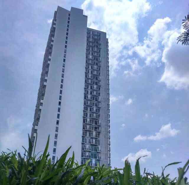 Sewa Apartemen Treepark