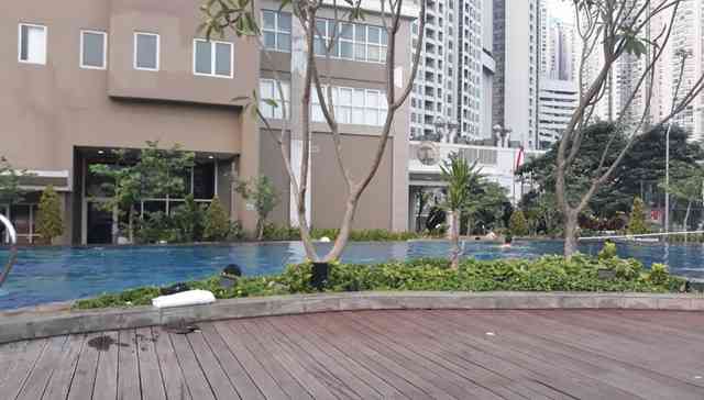 Sewa Apartemen Madison Park